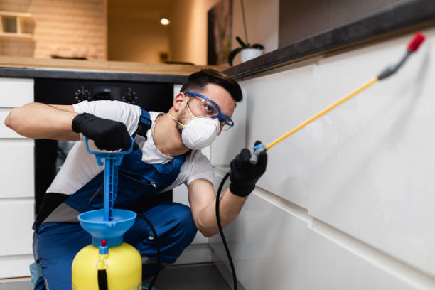 Best Rat Extermination Near Me  in Wardsville, MO