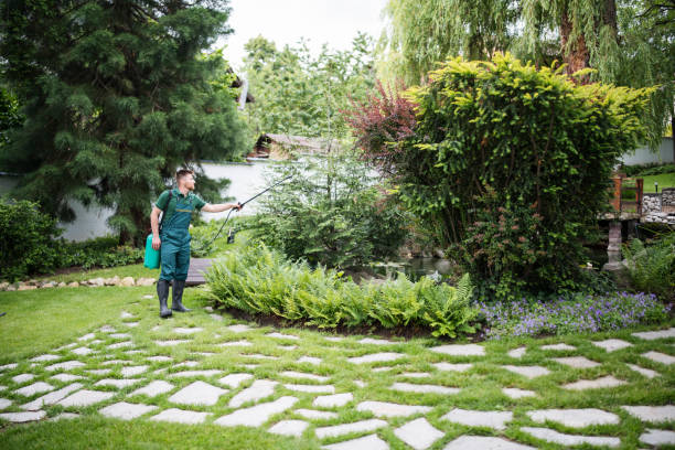 Best Insect Control  in Wardsville, MO