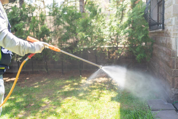 Best Wildlife Control Services  in Wardsville, MO