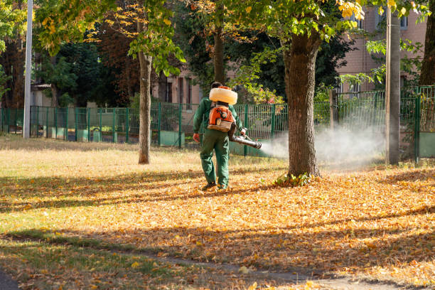 Best Exterminator Services  in Wardsville, MO
