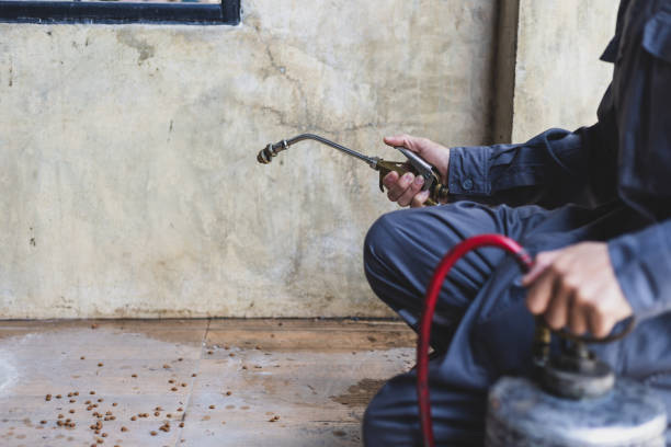 Best Commercial Pest Control Services  in Wardsville, MO